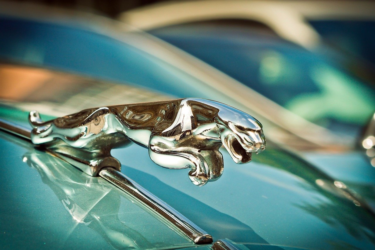 jaguar cars